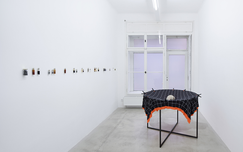 Barbora Kleinhamplová Mars